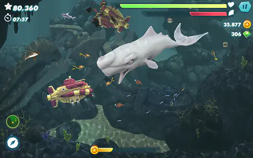 Screenshot 12