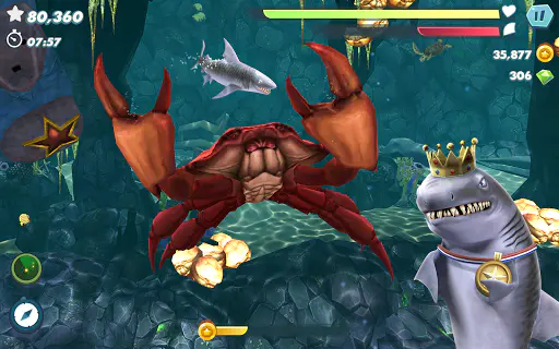 Screenshot 16